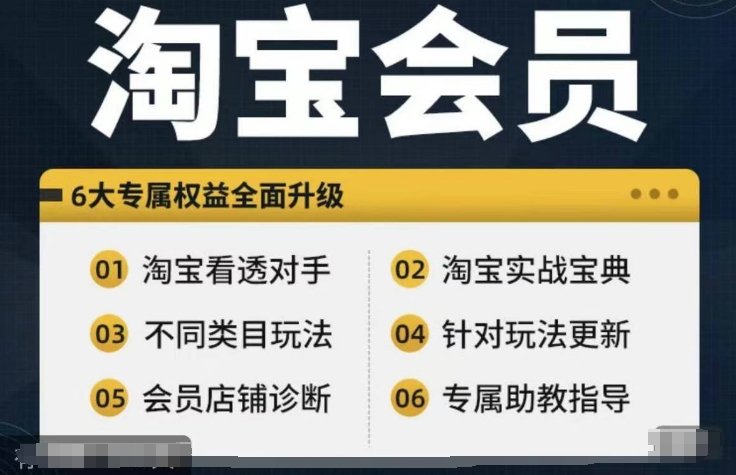 淘宝会员【淘宝所有课程，全面分析对手】，初级到高手全系实战宝典-创纪