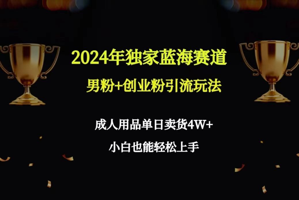 2024年独家蓝海赛道男粉+创业粉引流玩法，成人用品单日卖货4W+保姆教程-创纪