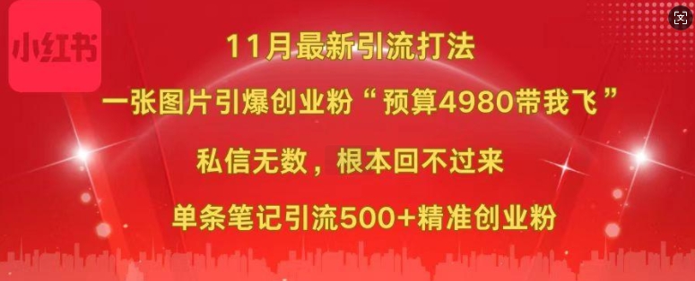小红书11月最新图片打粉，一张图片引爆创业粉，“预算4980带我飞”，单条引流500+精准创业粉-创纪
