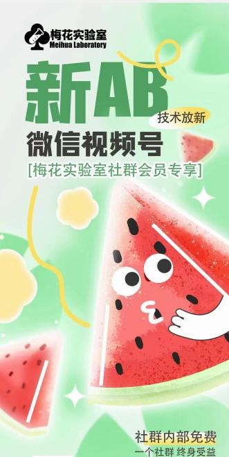 梅花实验室2024年AB技术视频号AB合成破解版-创纪