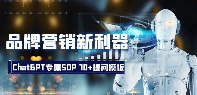 品牌营销新利器：ChatGPT专属SOP，70+提问模板【文档】-创纪