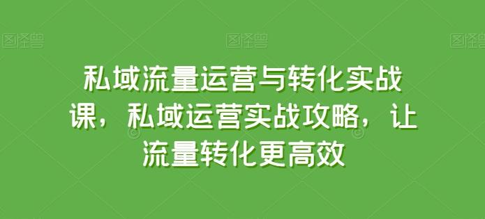 私域流量运营与转化实战课，私域运营实战攻略，让流量转化更高效-创纪