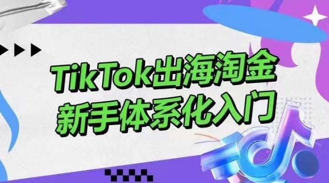 TikTok出海淘金，新手体系化入门，零基础快速入门，掌握短视频、直播带货等引流到变现的知识-创纪