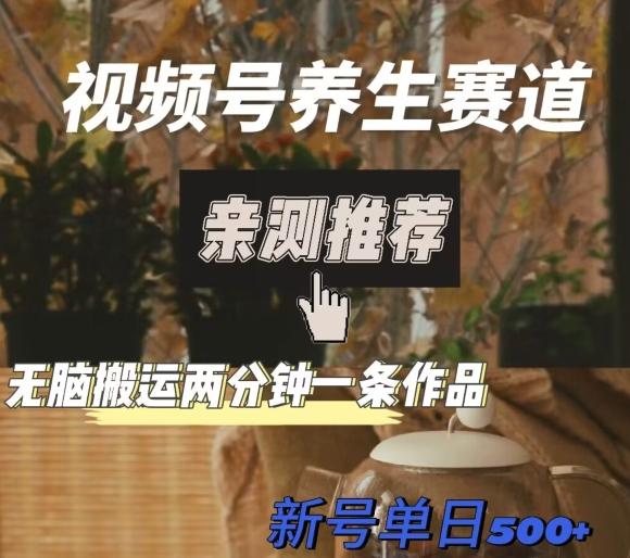 视频号养生赛道暴力掘金，无脑搬运，两分钟一条作品-新日单入500+-创纪