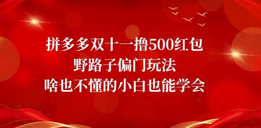 拼多多双十一撸500红包野路子偏门玩法，啥也不懂的小白也能学会【揭秘】-创纪