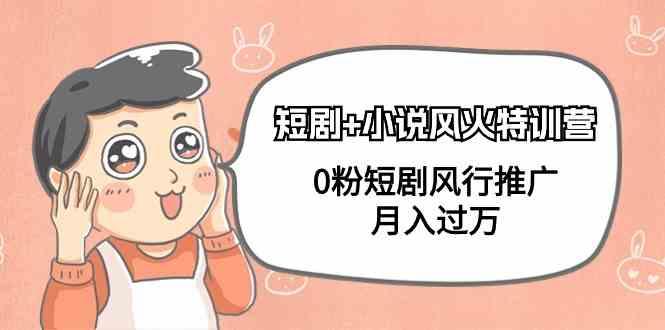 小说+短剧风火特训营，0粉短剧小说风行推广，实现月入过万-创纪